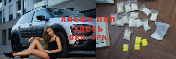 apvp Няндома