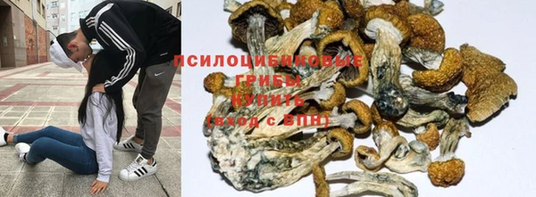 трава Армянск